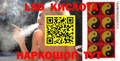 прущие крисы Сланцы