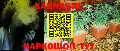 прущие крисы Сланцы